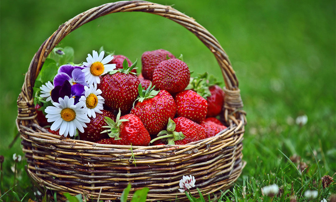 通化点呀点水果电商APP开发案例